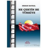 Ne Çektin Be Türkiye - Orhan Baykal - Pagos Yayınları