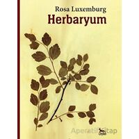 Herbaryum - Rosa Luxemburg - Ceylan Yayınları