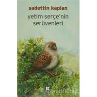 Yetim Serçenin Serüvenleri - Sadettin Kaplan - Bilge Kültür Sanat