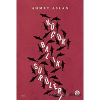 Küçük Balık Sürüleri - Ahmet Aslan - Sahi Kitap