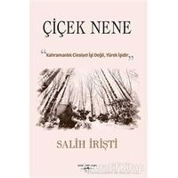 Çiçek Nene - Salih İrişti - Sokak Kitapları Yayınları