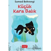 Küçük Kara Balık - Samed Behrengi - Bando Yayınları