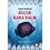 Küçük Kara Balık - Samed Behrengi - Kırmızı Kedi Çocuk