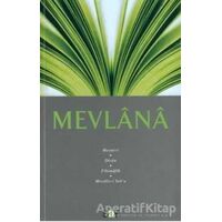 Mevlana - Mevlana Celaleddin Rumi - Say Yayınları