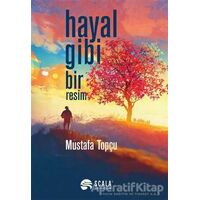 Hayal Gibi Bir Resim - Mustafa Topçu - Scala Yayıncılık