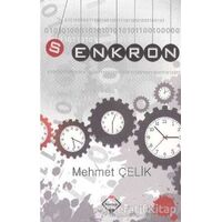 Senkron - Mehmet Çelik - Buzdağı Yayınevi