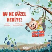 Bu Ne Güzel Hediye - Seda Akipek - Abm Yayınevi