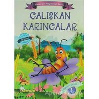 Maceracı Hayvanlar Serisi (10 Kitap) - Mustafa Sağlam - Selimer Yayınları