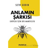 Anlamın Şarkısı - Seth Godin - MediaCat Kitapları