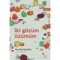 İki Gözüm Üzümüm - Necdet Neydim - Günışığı Kitaplığı