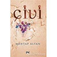 Çivi - Mehtap Altan - Profil Kitap