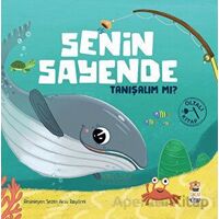 Senin Sayende - Tanışalım mı? - Kolektif - Sincap Kitap