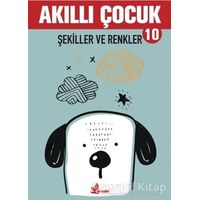 Şekiller ve Renkler - Akıllı Çocuk 10 - Kolektif - Çınar Yayınları