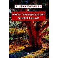 Bakır Tencerelerdeki Sihirli Arılar - Alişan Karahan - Sokak Kitapları Yayınları