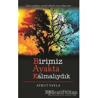 Birimiz Ayakta Kalmalıydık - Aykut Yayla - Sokak Kitapları Yayınları