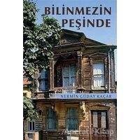 Bilinmezin Peşinde - Nermin Güday Kaçar - Sokak Kitapları Yayınları