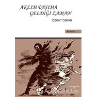 Aklım Başıma Geldiği Zaman - Özkut Özkan - Sokak Kitapları Yayınları