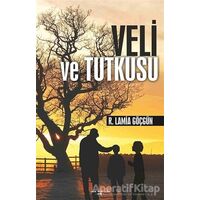 Veli ve Tutkusu - R. Lamia Göçgün - Sokak Kitapları Yayınları
