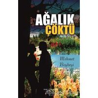 Ağalık Çöktü - Mehmet Boybeyi - Sokak Kitapları Yayınları