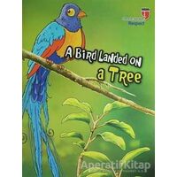 A Bird Landed On A Tree - Respect; Stories With The Phoenix - Neriman Karatekin - EDAM