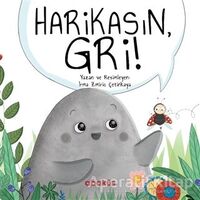 Harikasın Gri! - İrma Zmiriç Çetinkaya - Abaküs Kitap