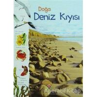 Doğa: Deniz Kıyısı - Sarah Courtauld - TÜBİTAK Yayınları