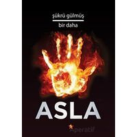 Bir Daha Asla - Şükrü Gülmüş - Peri Yayınları