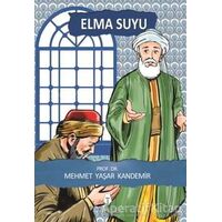 Elma Suyu - Mehmet Yaşar Kandemir - Tahlil Yayınları