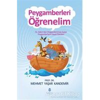 Peygamberleri Öğrenelim - M. Yaşar Kandemir - Tahlil Yayınları