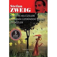 Hayatın Mucizeleri - Ormanın Üzerindeki Yıldız - Zıt İkizler - Stefan Zweig - Tema Yayınları