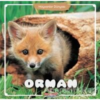 Orman - Hayvanlar Dünyası - Kolektif - Yumurcak Yayınları