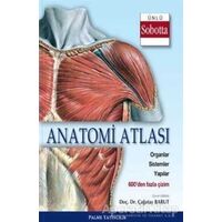 Anatomi Atlası (Sobotta Çizimleri) - Kolektif - Palme Yayıncılık