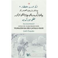 Çatallı Dil Yılana Mahsus Değil Yılmazın da Dili Çatallı Olur - Lütfi Özaydın - Tiyo Yayınevi