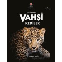 Anadoludaki Vahşi Kediler - Yasemin Şahin - TÜBİTAK Yayınları