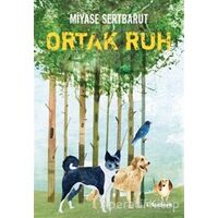Ortak Ruh - Miyase Sertbarut - Tudem Yayınları
