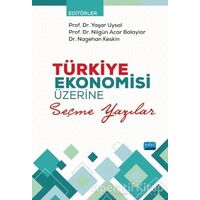 Türkiye Ekonomisi Üzerine Seçme Yazılar - Nagehan Keskin - Nobel Akademik Yayıncılık