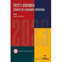 2023e Giderken Türkiyede Ekonomik Görünüm - Ahmet Fazıl Özsoylu - Akademisyen Kitabevi