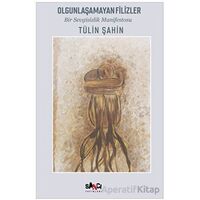 Olgunlaşamayan Filizler - Tülin Şahin - Sancı Yayınları