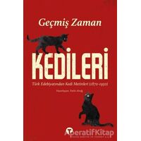 Geçmiş Zaman Kedileri - Fatih Altuğ - Turkuvaz Kitap