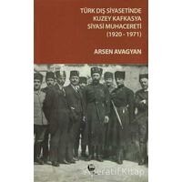 Türk Dış Siyasetinde Kuzey Kafkasya Siyasi Muhacereti (1920 - 1971)