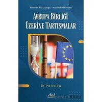 Avrupa Birliği Üzerine Tartışmalar - İç Politika - Filiz Cicioğlu - Aktif Yayınevi