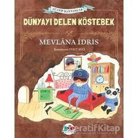 Dünyayı Delen Köstebek - Mevlana İdris - Vak Vak Yayınları