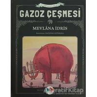 Gazoz Çeşmesi - Mevlana İdris - Vak Vak Yayınları