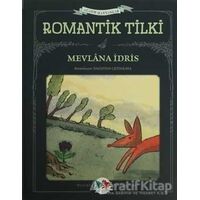 Romantik Tilki - Mevlana İdris - Vak Vak Yayınları