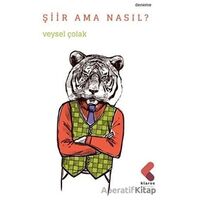 Şiir Ama Nasıl? - Veysel Çolak - Klaros Yayınları