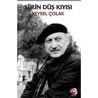 Şiirin Düş Kıyısı - Veysel Çolak - Klaros Yayınları