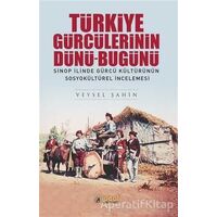Türkiye Gürcülerinin Dünü-Bugünü - Veysel Şahin - İdeal Kültür Yayıncılık