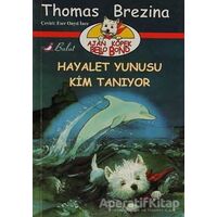 Hayalet Yunusu Kim Tanıyor - Thomas Brezina - Bulut Yayınları