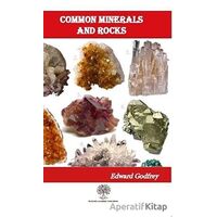 Common Minerals and Rocks - William O. Crosby - Platanus Publishing