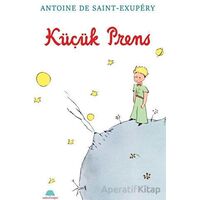 Küçük Prens - Antoine de Saint-Exupery - Salkımsöğüt Yayınları